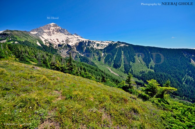 mt hood mcneil point peak oregon timberline trail #600 postcard