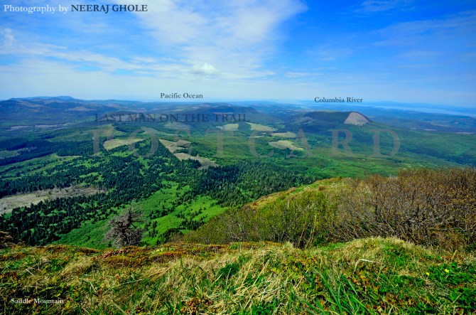 saddle mountain summit columbia river meets pacific ocean oregon postcard