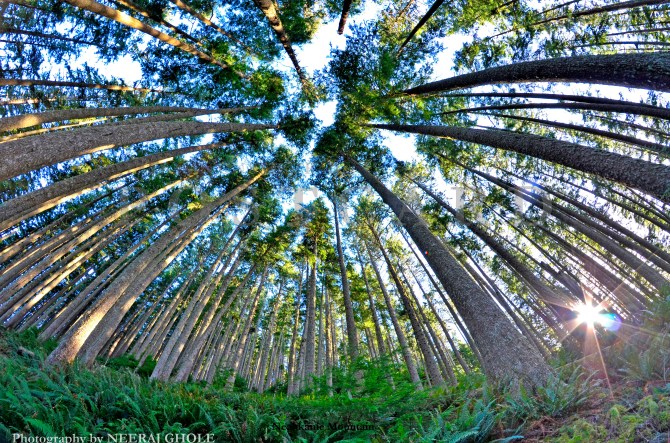 neahkanie mountain hike trek us 101 oregon coast canon beach pacific ocean manzanita