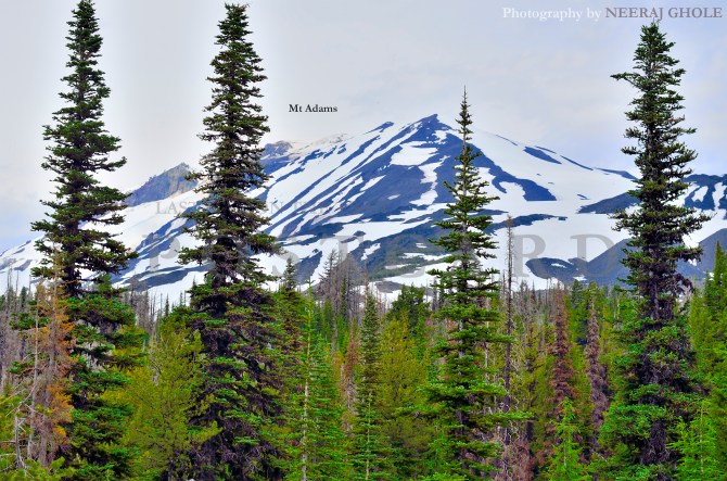 Mt Adams Summit Climb Pikers Peak False Summit Hike Trek Washington Mt St Helens