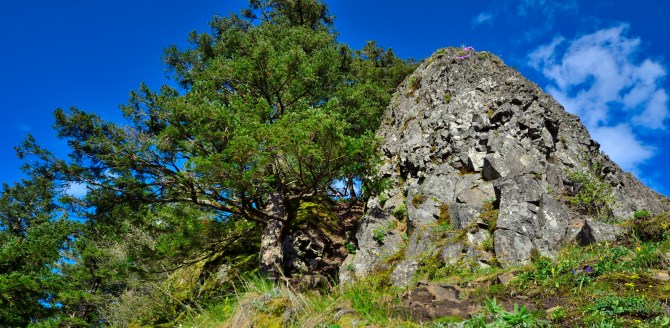 munra point hike panorama columbia gorge exit 35 elowah falls trail no 400