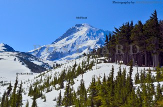 Wy'East Basin Hike Elk Cove Vista Ridge Trail 626 Trailhead Mt Hood Oregon Backpacking Hiking