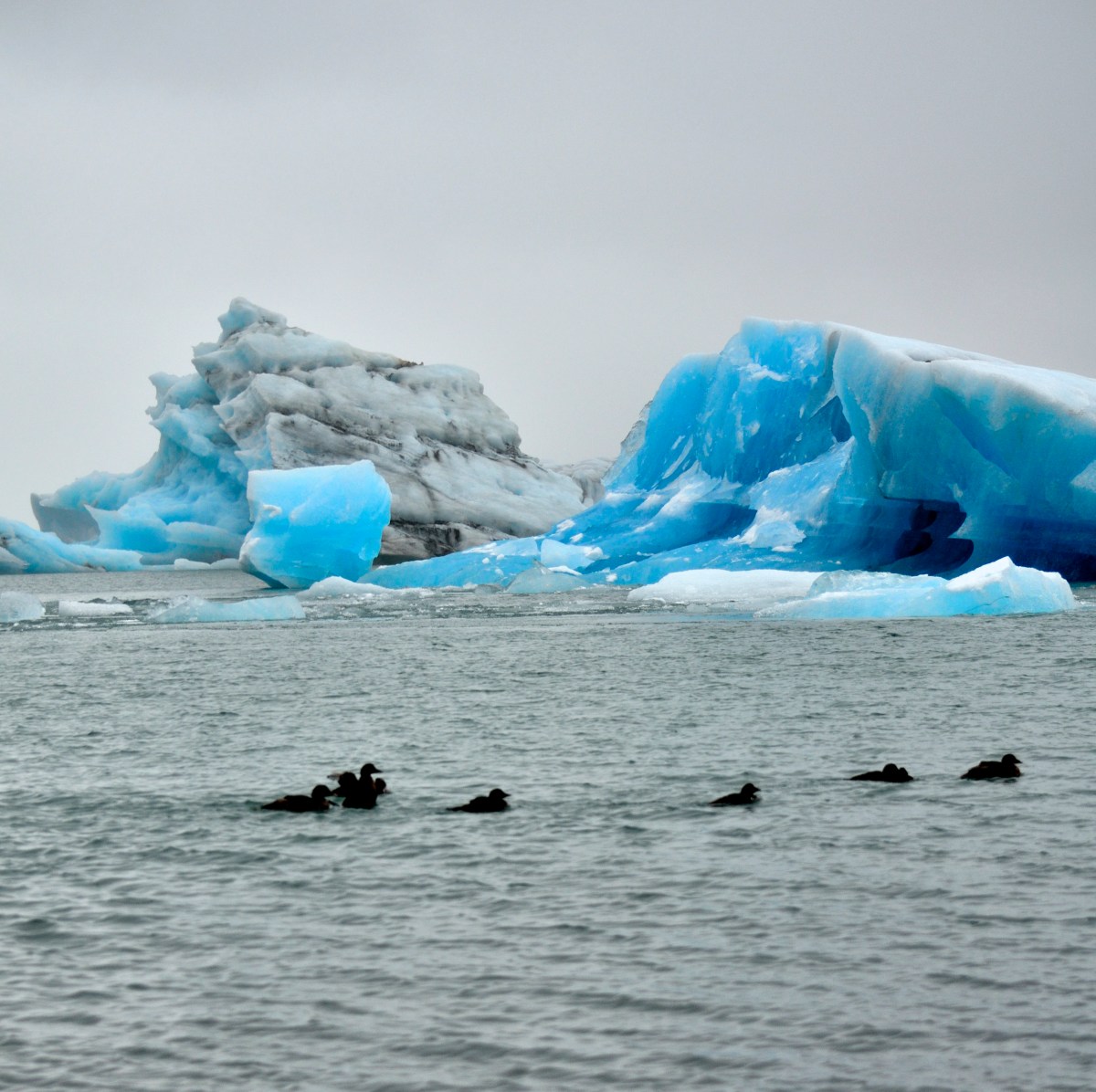 Iceberg Lagoon Iceland