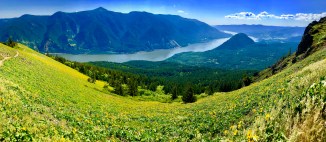 dog mountain columbia river gorge washington oregon trail hike trek postcard