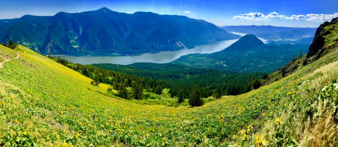 dog mountain columbia river gorge washington oregon trail hike trek postcard