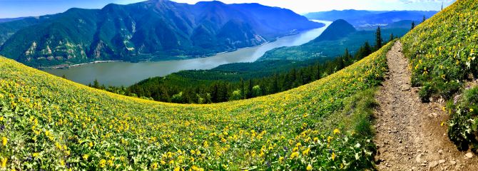 dog mountain columbia river gorge washington oregon trail hike trek postcard